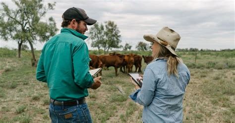 auctionsplus farm clearing sales.